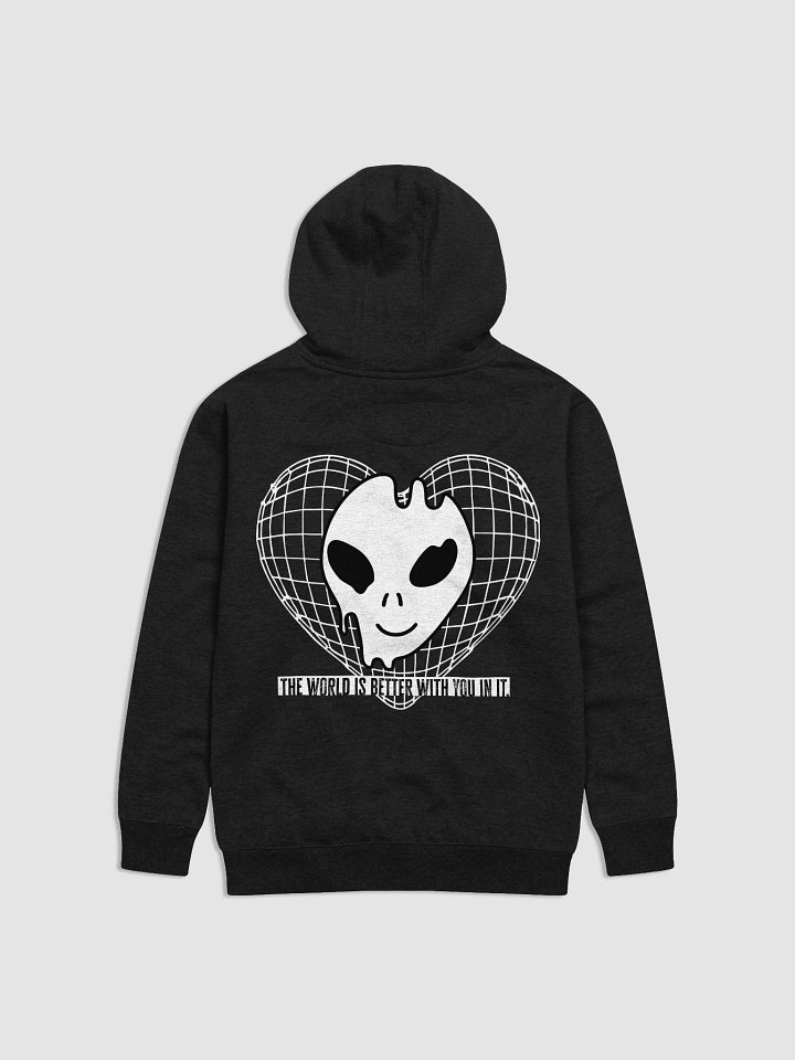 TWIBWYII Hoodie product image (14)
