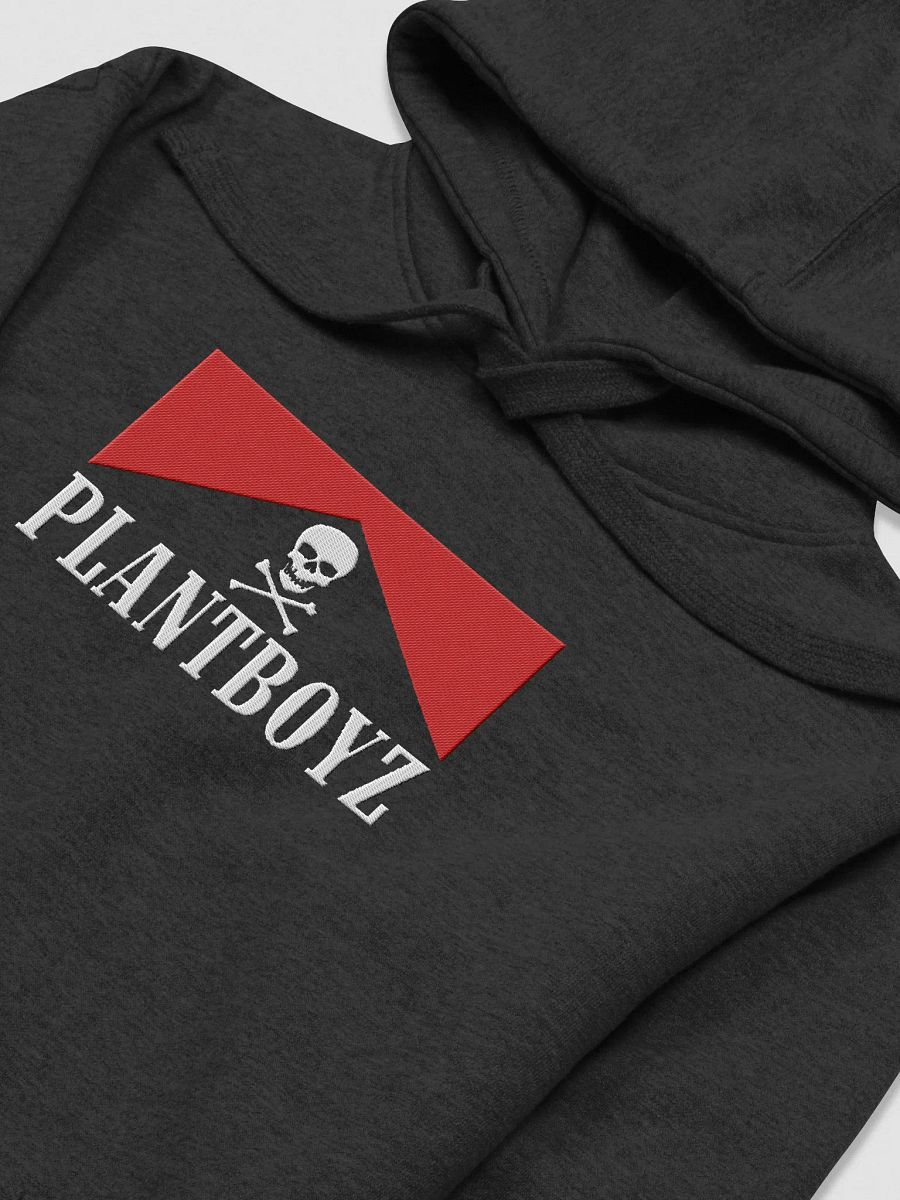 Flavor Country embroidered hoodie product image (3)