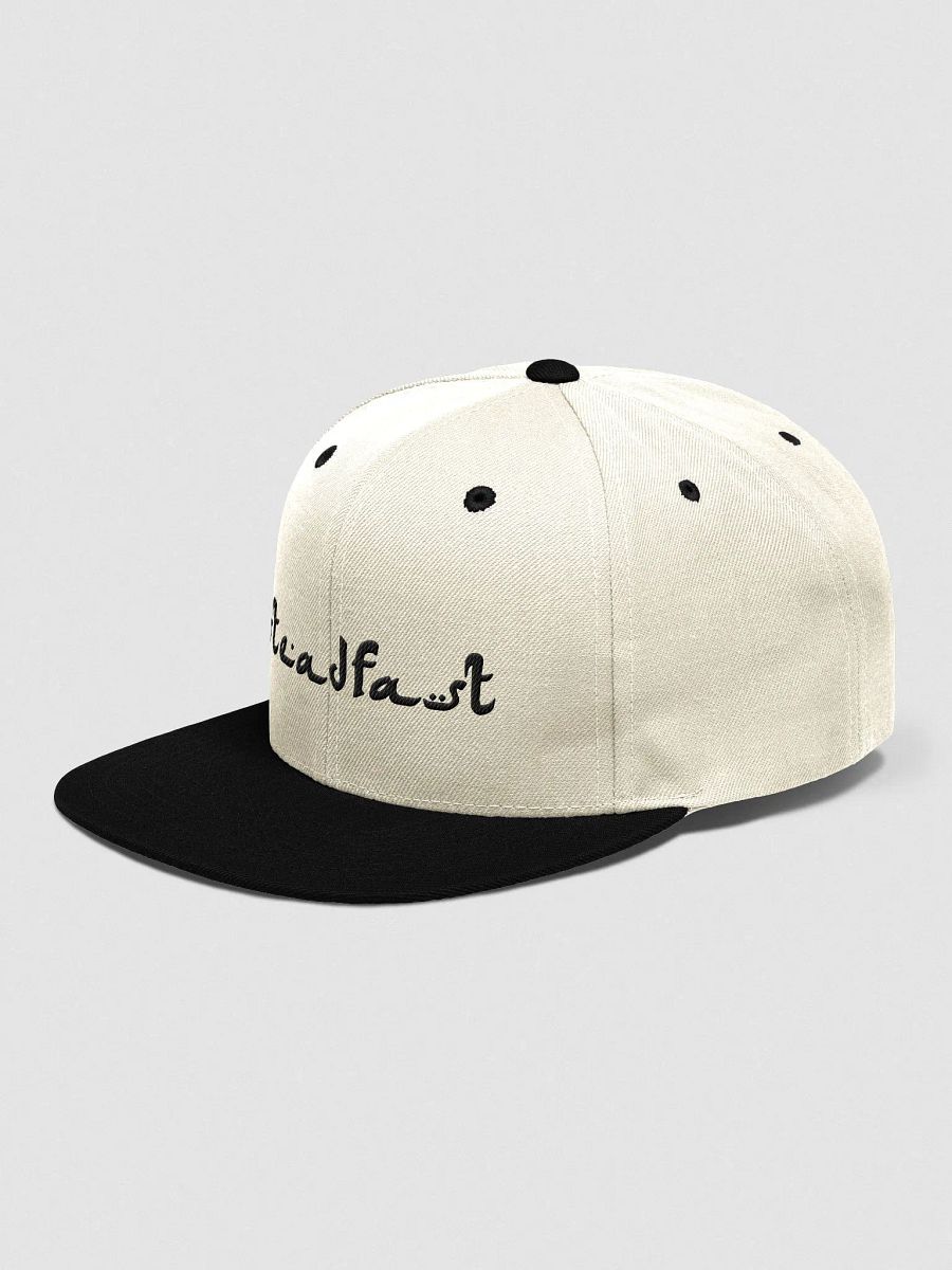 SteadFast product image (8)