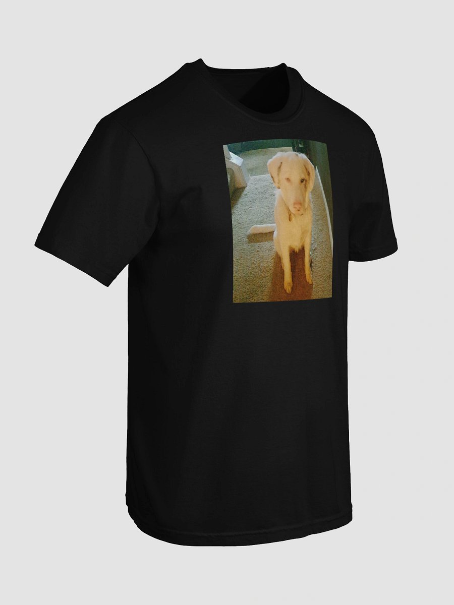 Ghost Dogg Album T-Shirt product image (7)