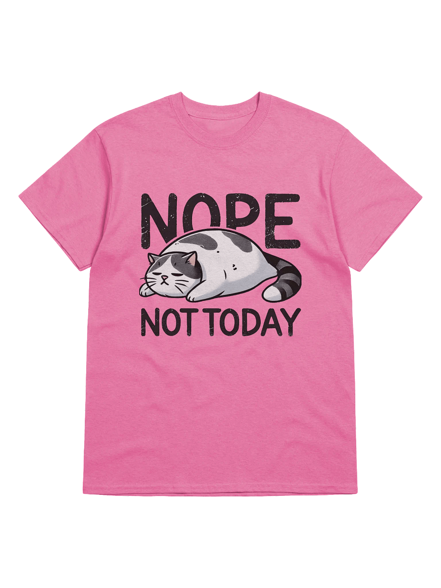 Nope, Not Today Cat Graphic Tee product image (1)