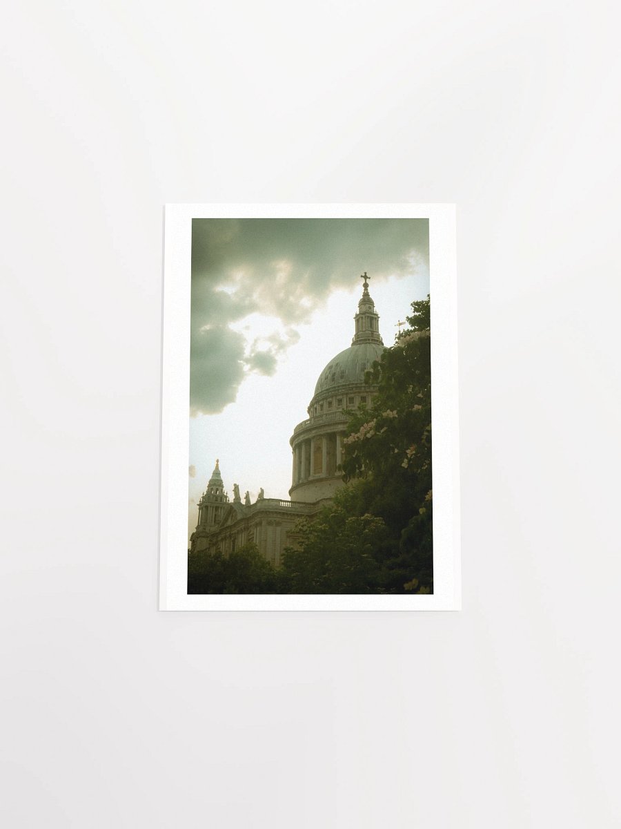 Flowers of St. Paul - Print product image (29)
