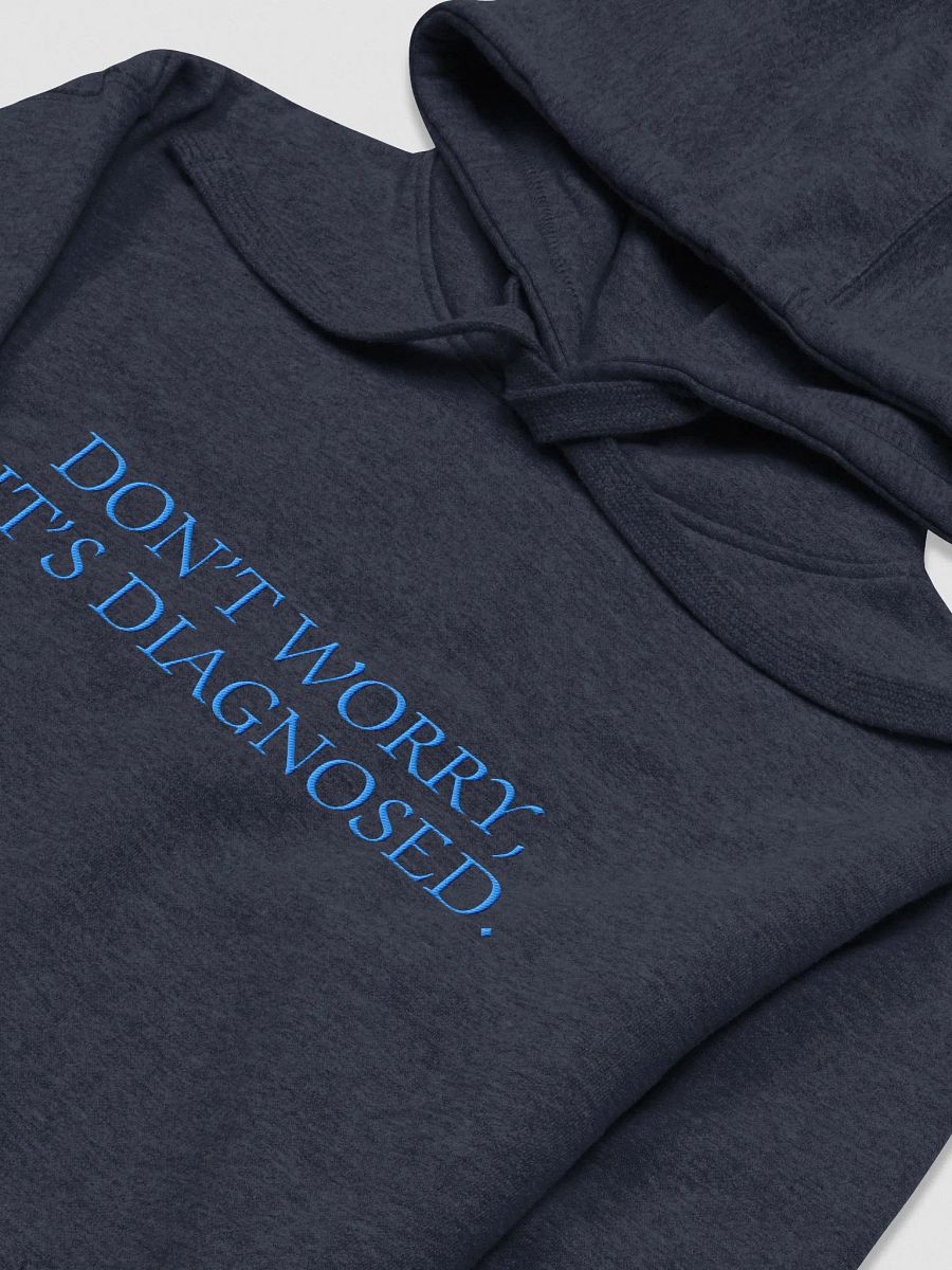 DW, IT'S DIAGNOSED. (monochrome blue) embroidered heavyweight hoodie product image (5)