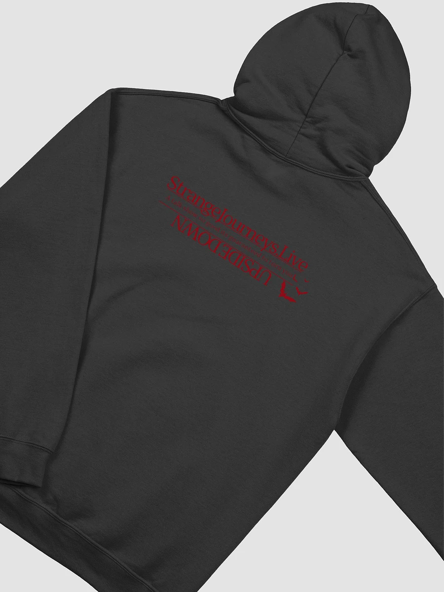 Journey to the Upside Down (hoodie) product image (4)