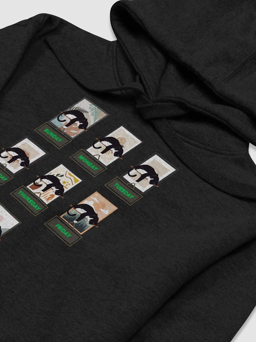 Cats Days of The Week Hoodie product image (17)