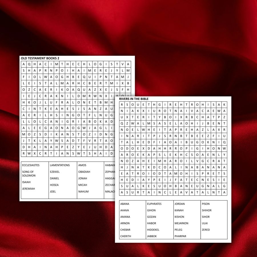 Bible word search printable, childrens ministry word search printable, printable word search 23 pages, Books of Bible Game product image (3)