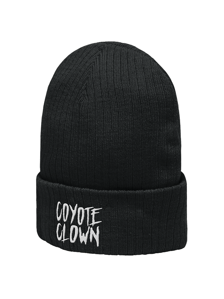 Beanie product image (2)