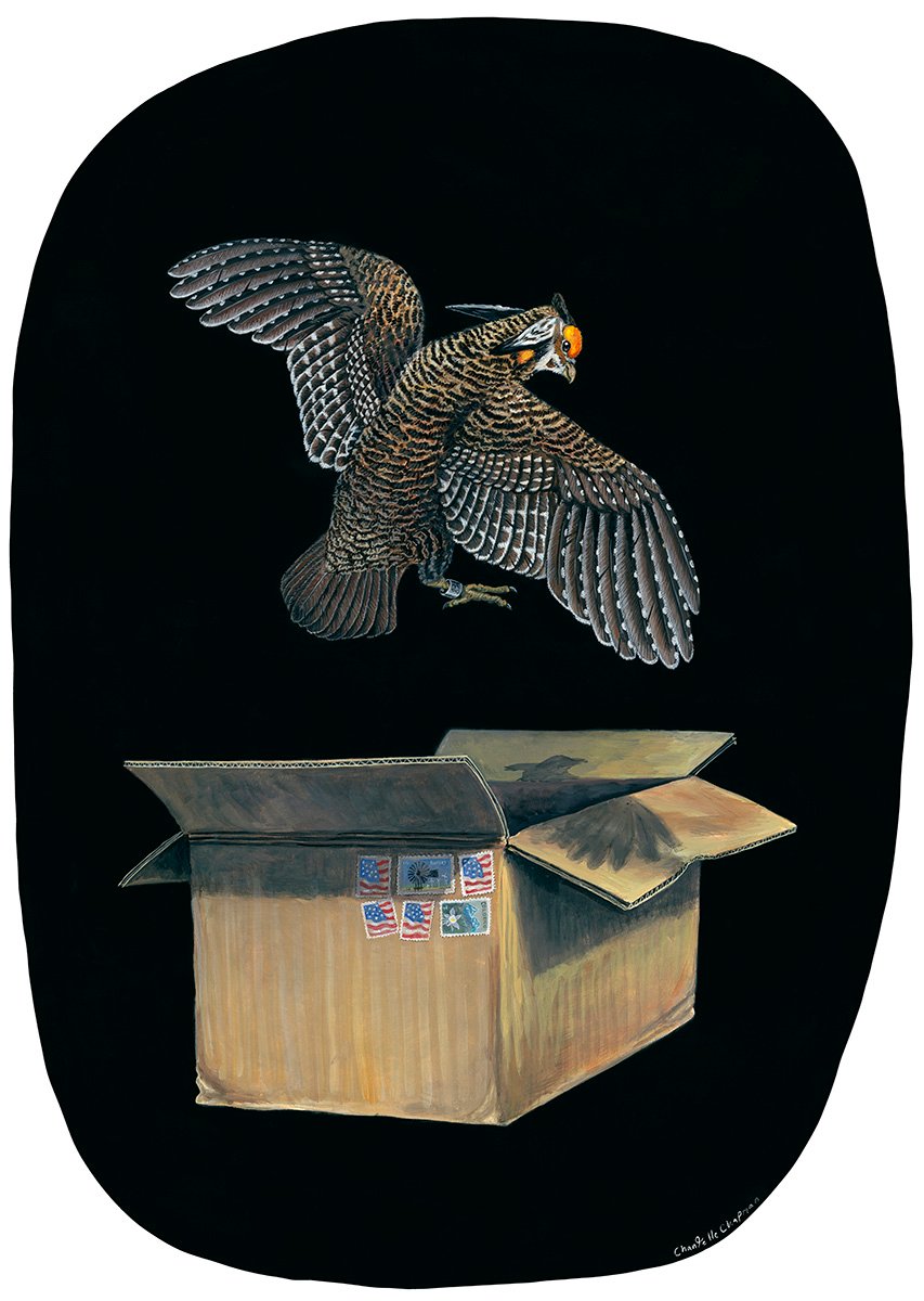 Relocation (Lesser Prairie Chicken) - Art Print product image (1)