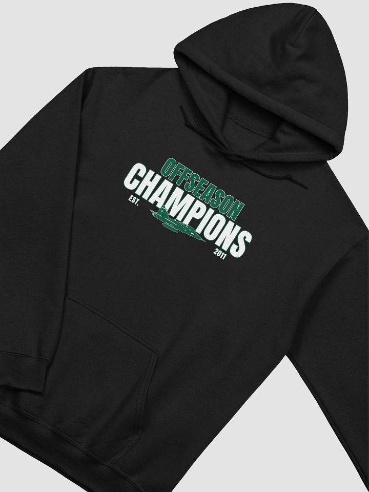 Offseason Champs Hoodie product image (4)