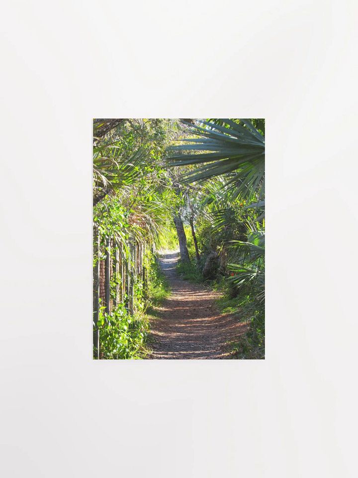 Ponce Inlet, FL Trail product image (10)