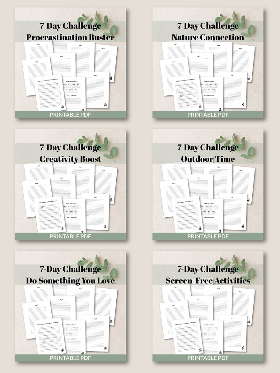 25 Printable 7-Day Challenges Mega Bundle product image (8)