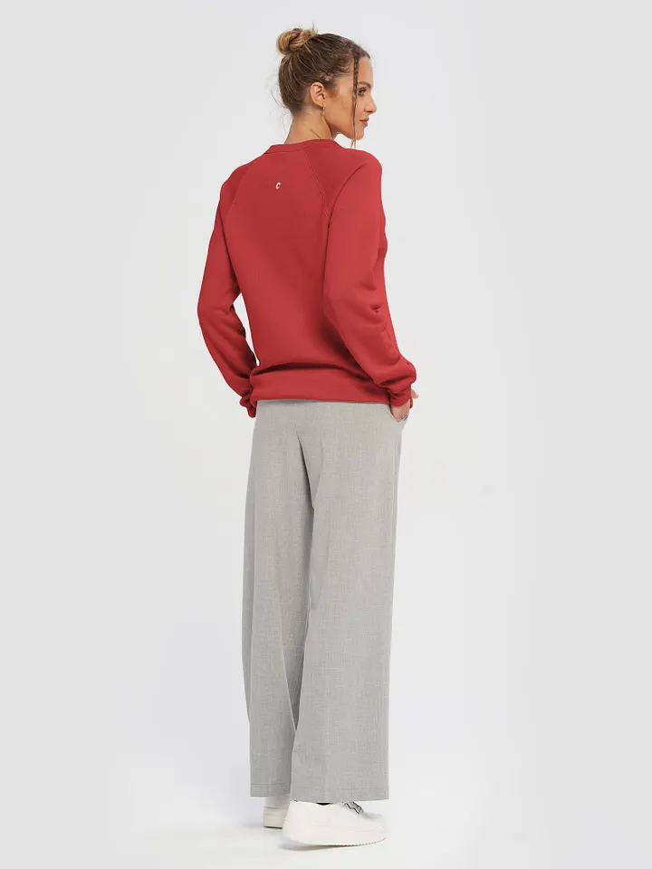CF Unisex Sponge Fleece Raglan Sweatshirt product image (2)