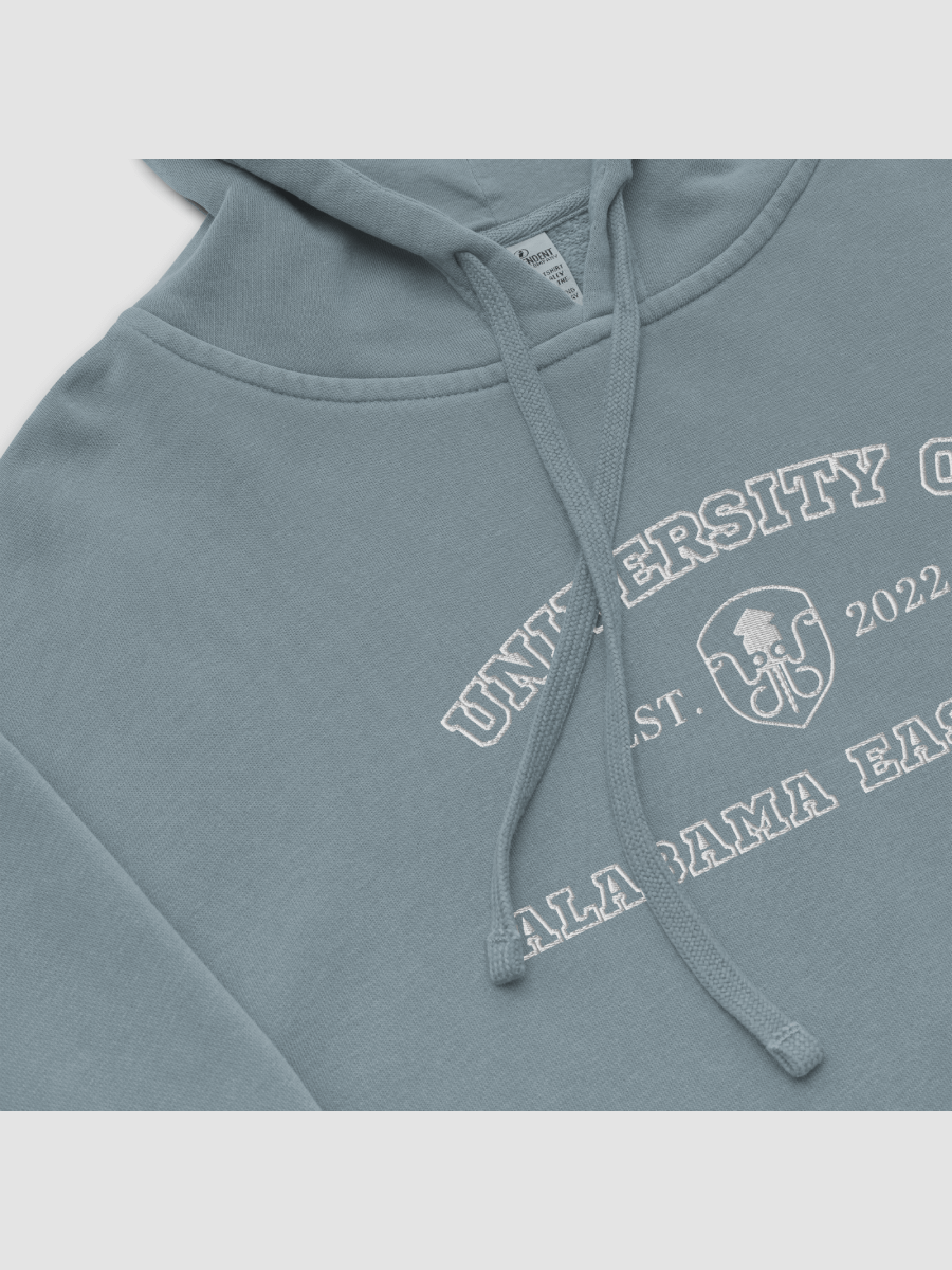 University Hoodie product image (3)