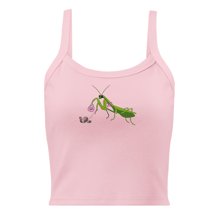 fancy mantis tank product image (1)