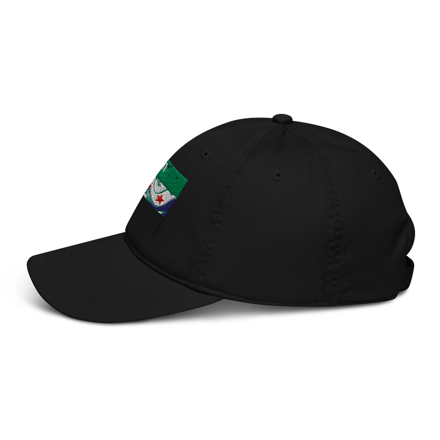Organic Starry Wave Dad Hat product image (3)