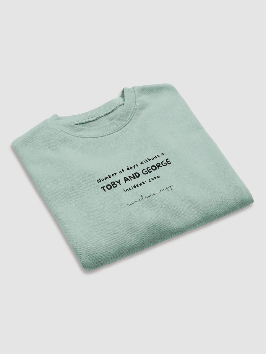 Toby and George Incident Crop Sweatshirt - Light Colours product image (7)