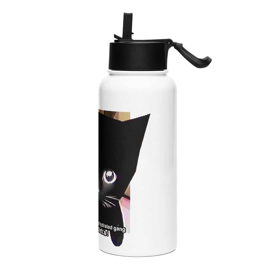STAY HYDRATED Stainless Steel Bottle product image (3)