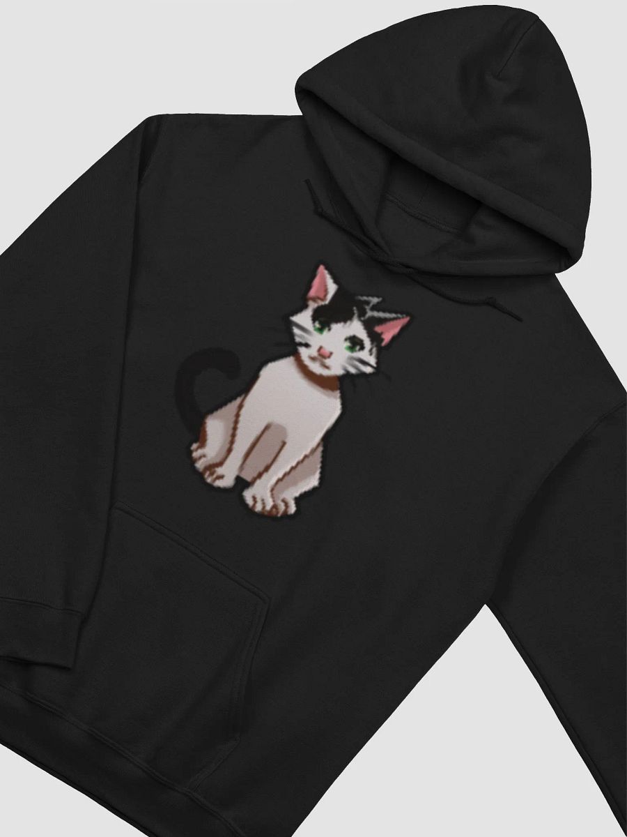Harvey Hoodie product image (3)