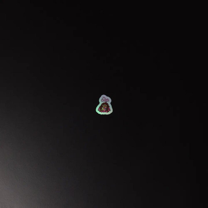 Dudachicken Holographic Sticker Sheet product image (4)