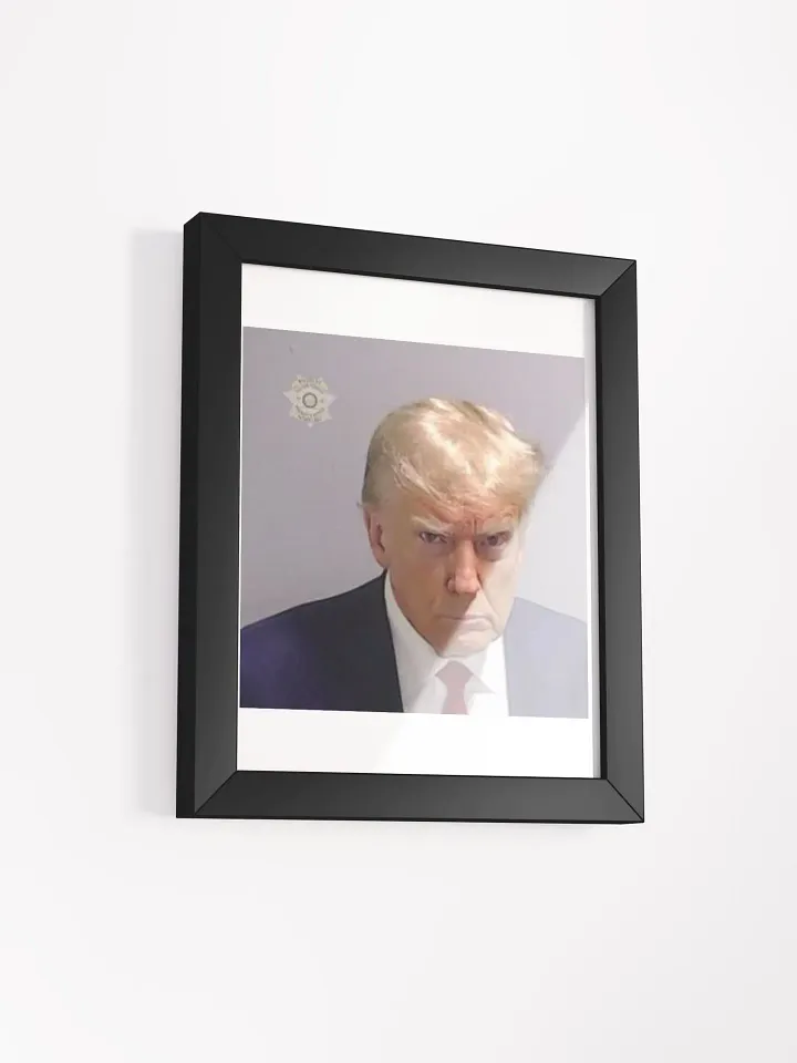 Framed FAFO Mugshot product image (15)