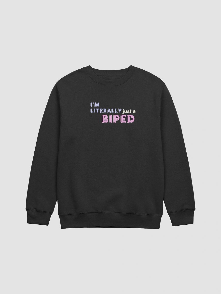 Literally Just a Sweatshirt product image (1)