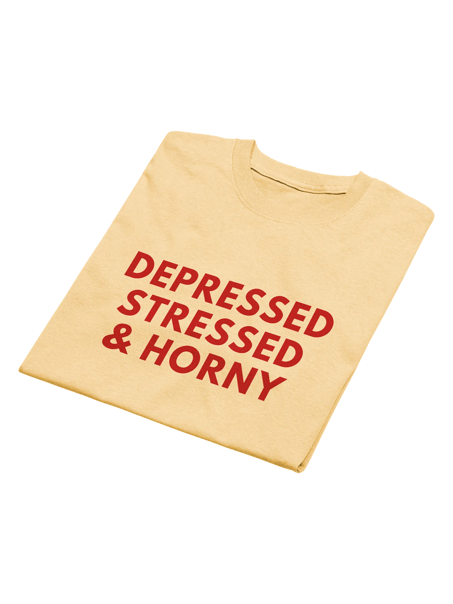 Depressed Stressed & Horny T-Shirt product image (2)