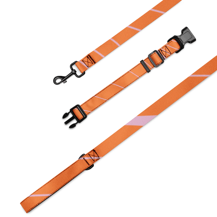 Striped Pet Collar & Leash Set product image (1)