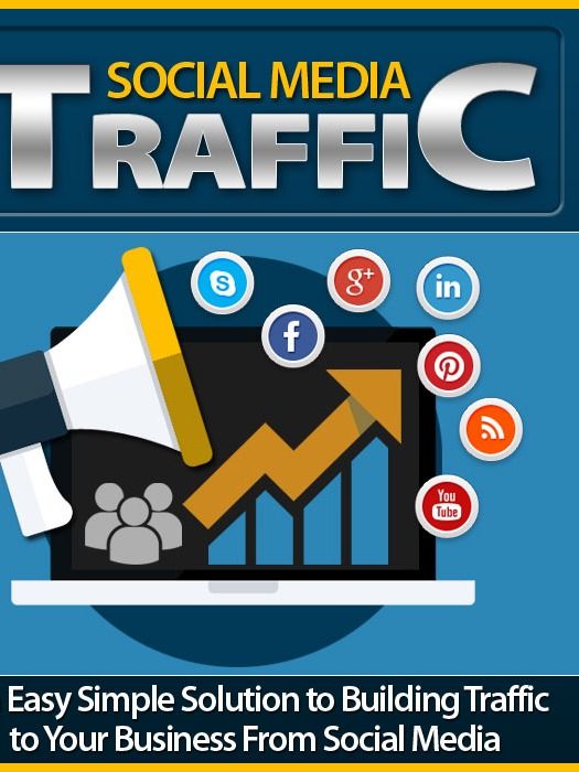 Social Media Traffic product image (2)