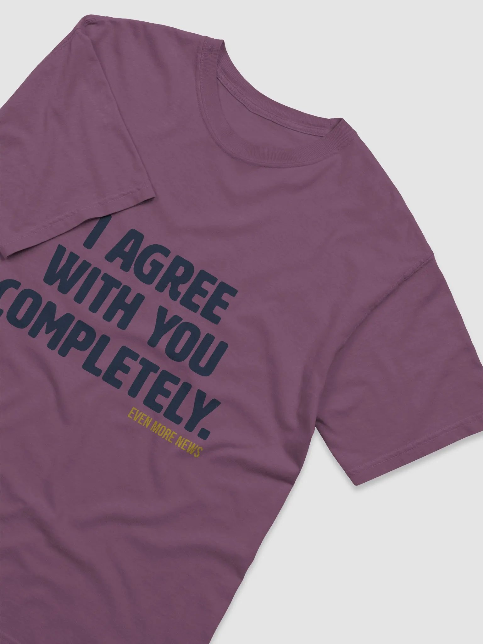 I Agree With You Completely T-Shirt product image (18)