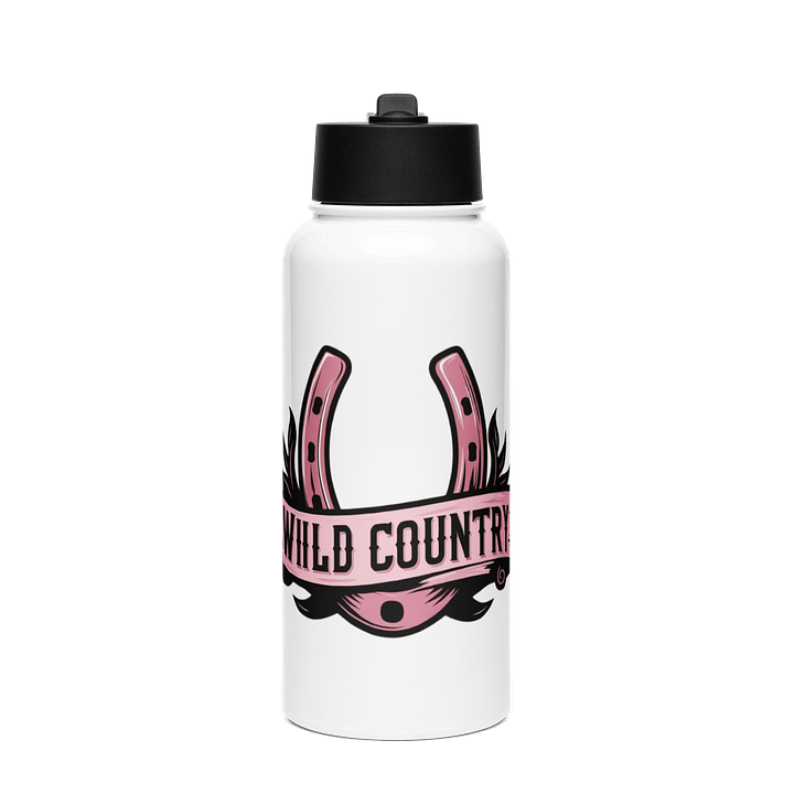 Stainless Steel Water Bottle with a Straw Lid product image (1)