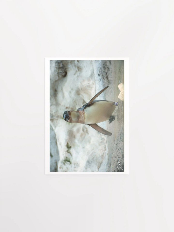 Penguins March - Print product image (1)