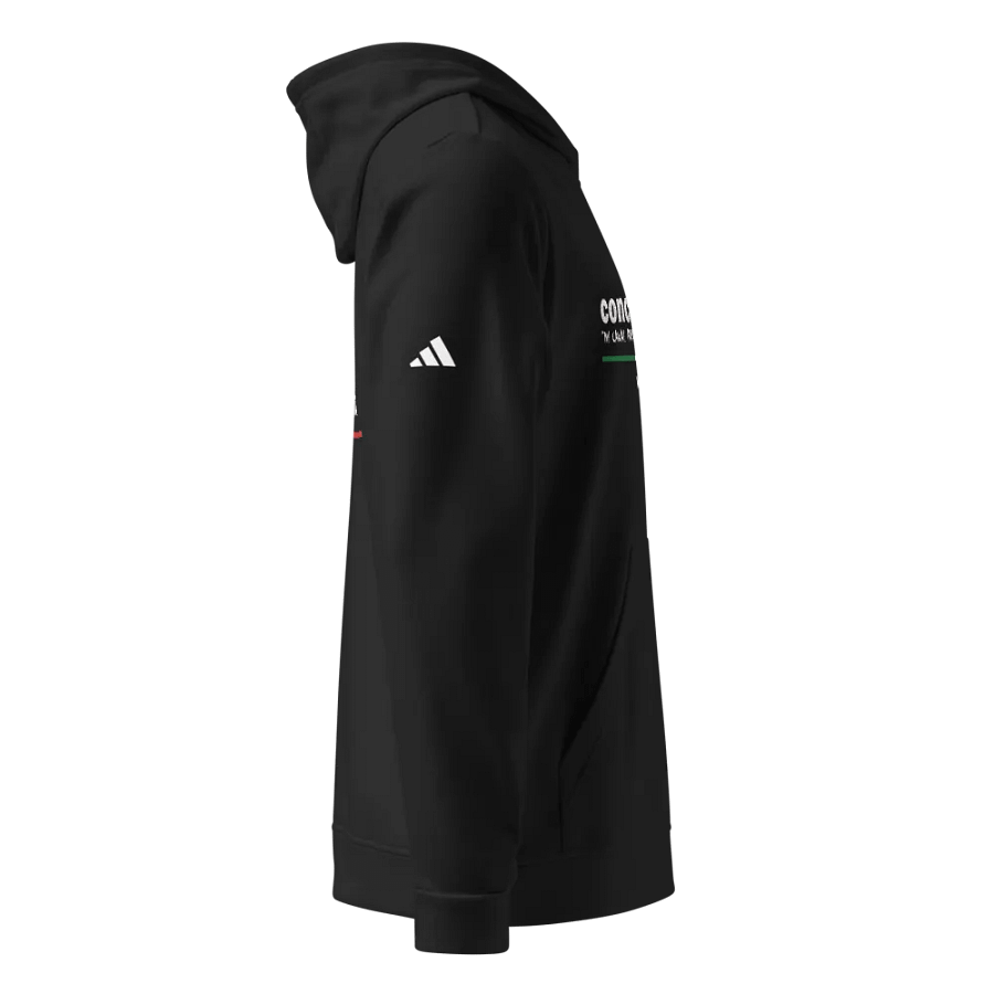 Conciencia X Paranormal Mexico Hoodie product image (4)