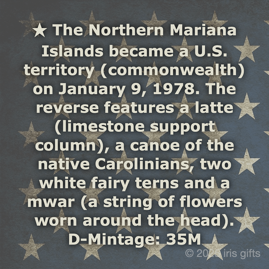 1999-2009 / Denver / State & US Territories Quarters / Printable INFO Cards product image (3)