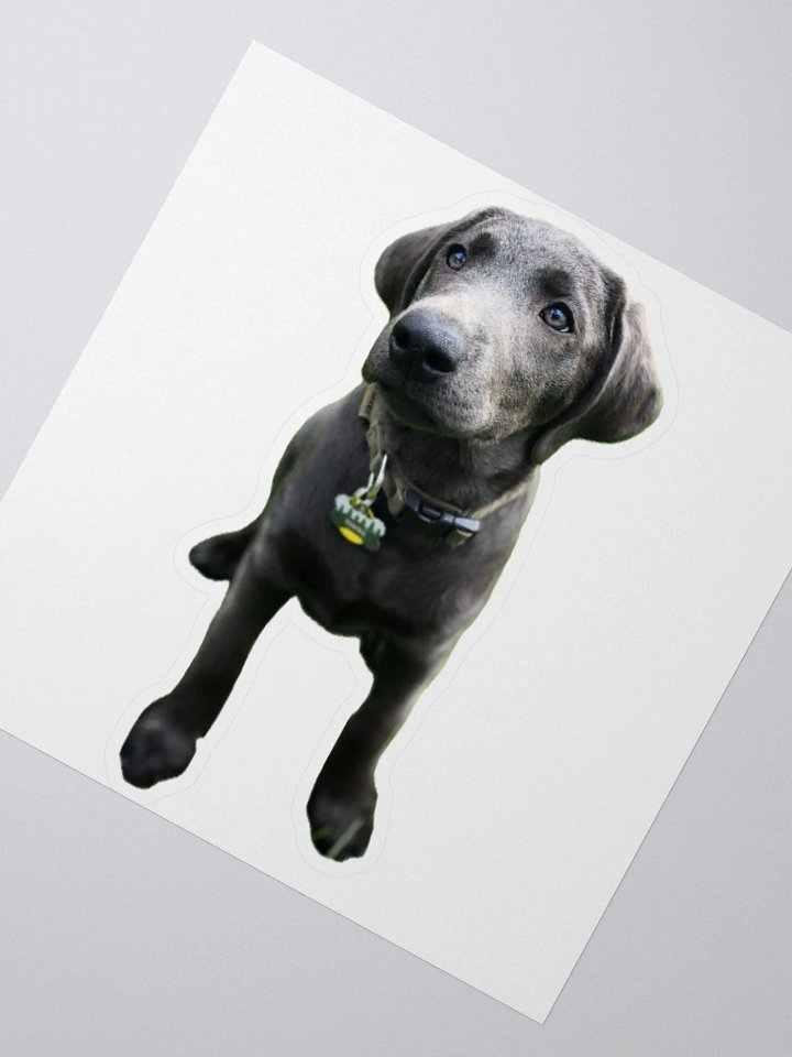 Sokka sticker product image (2)