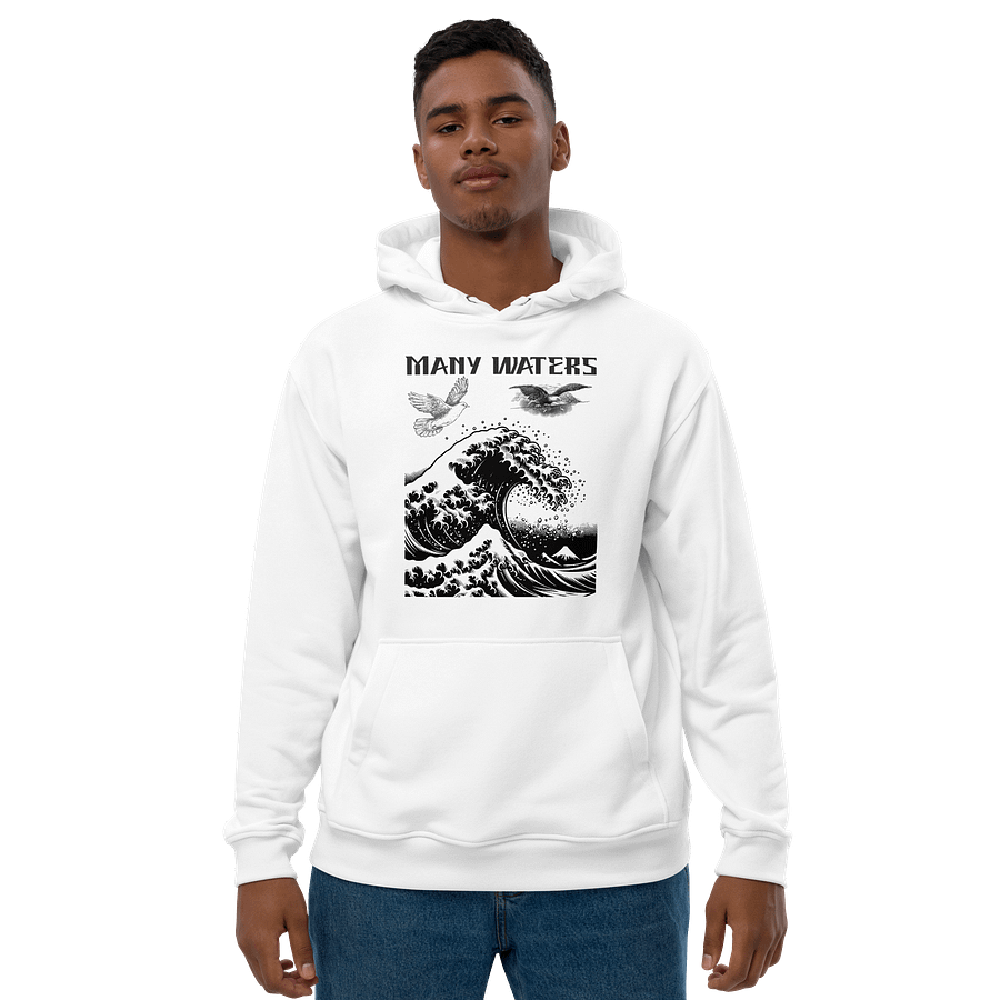 Many waters hoodie unisex product image (1)