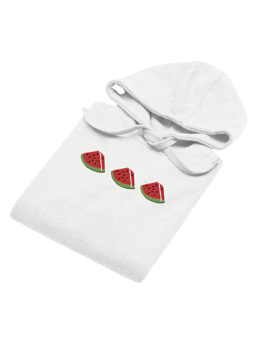Sandia Embroidered Hoodie (white) product image (3)