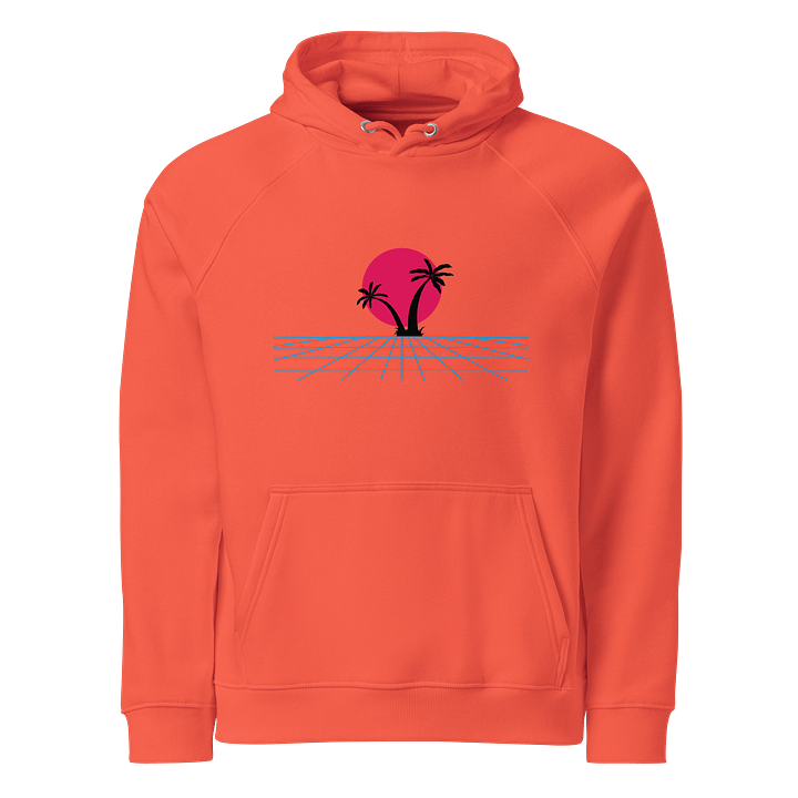 Retro-Futuristic Palm Tree Grid Raglan Hoodie product image (1)