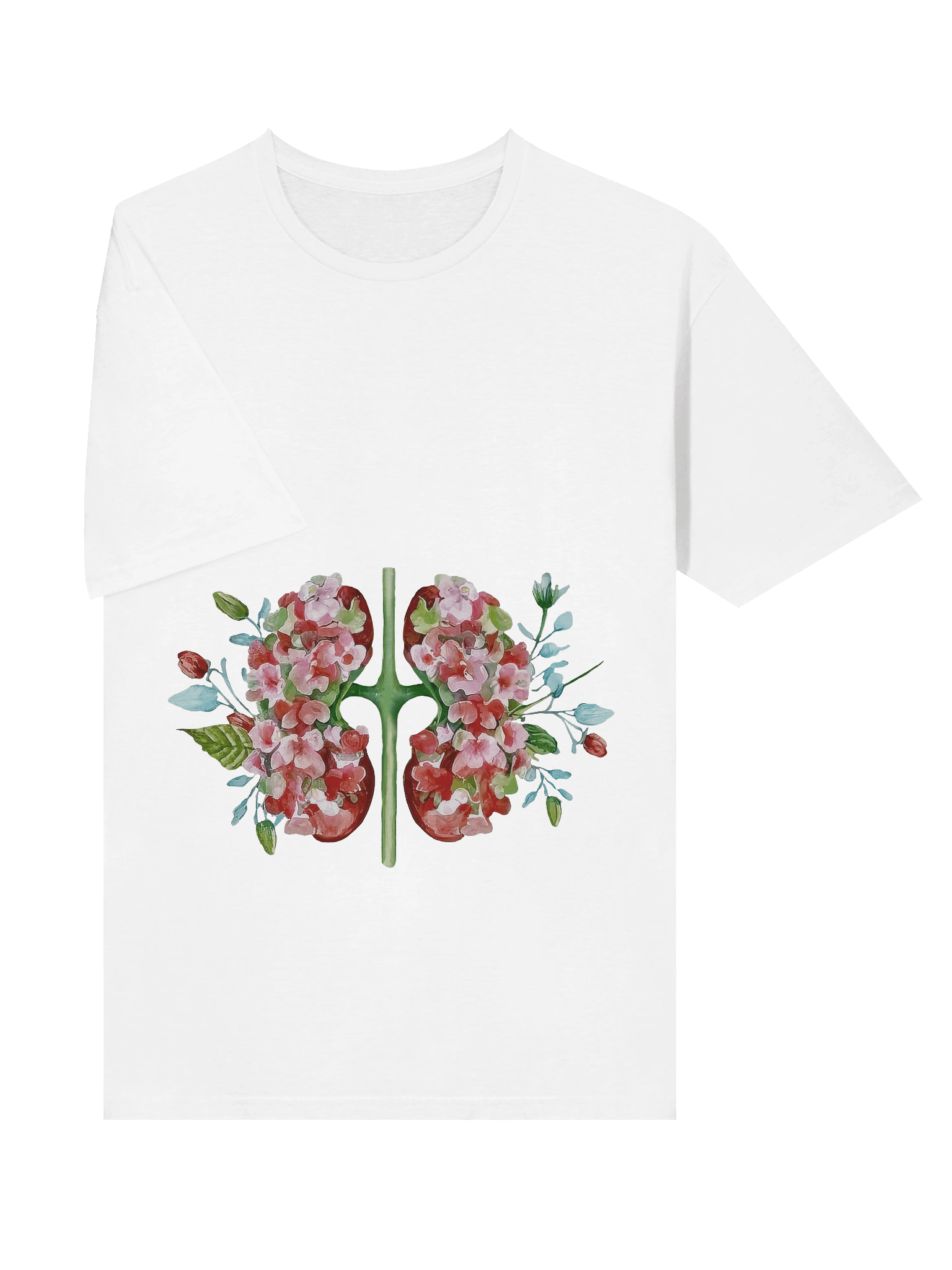 Botanical Anatomy Kidney Illustration product image (3)