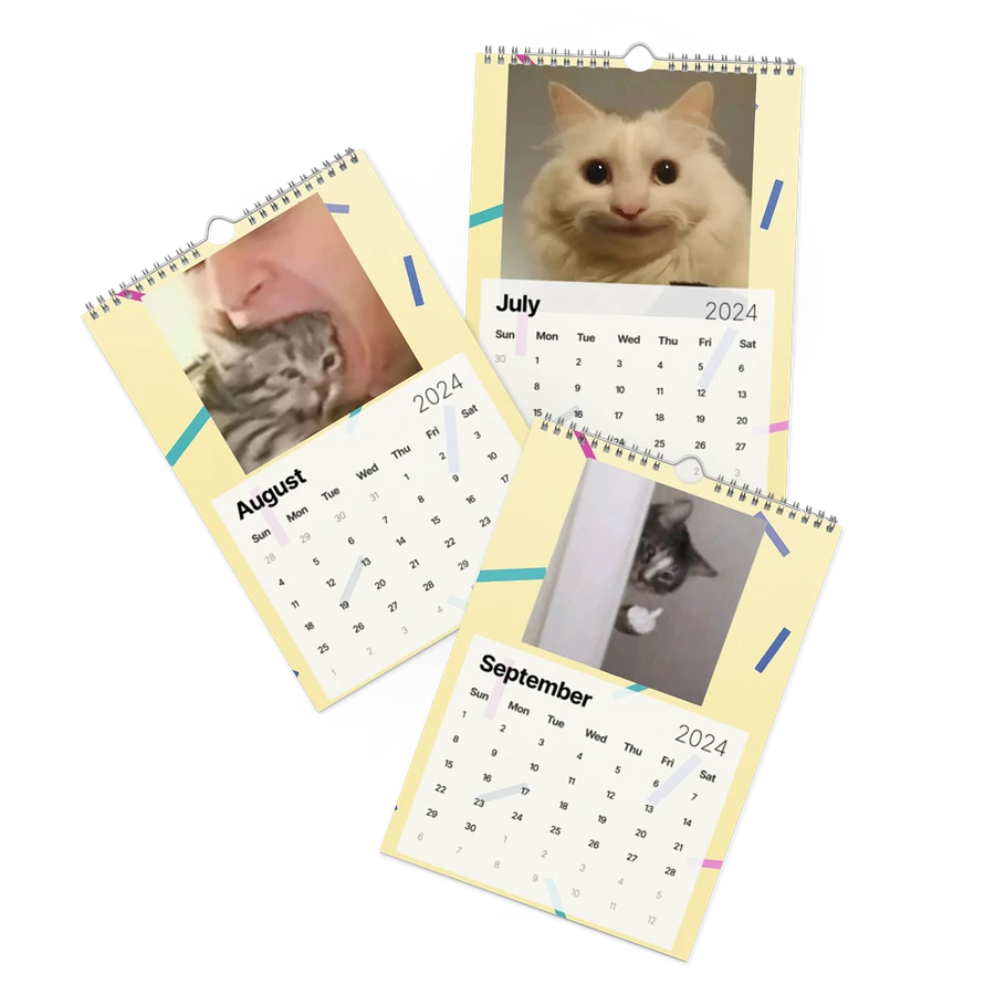 Wall Calendar (2024): Meme Cats product image (11)