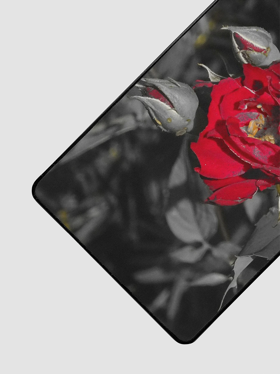 Fuchsia Rose product image (3)