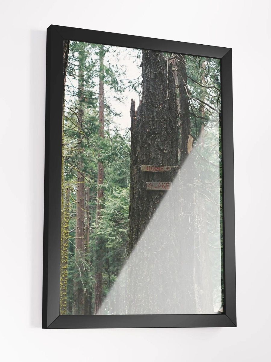 To Home - To Lake product image (6)
