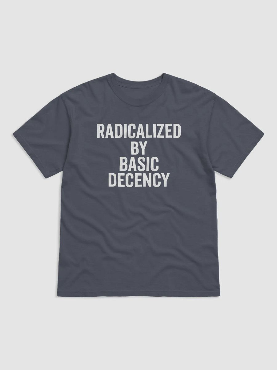 Radicalized Basic Decency T-Shirt product image (3)