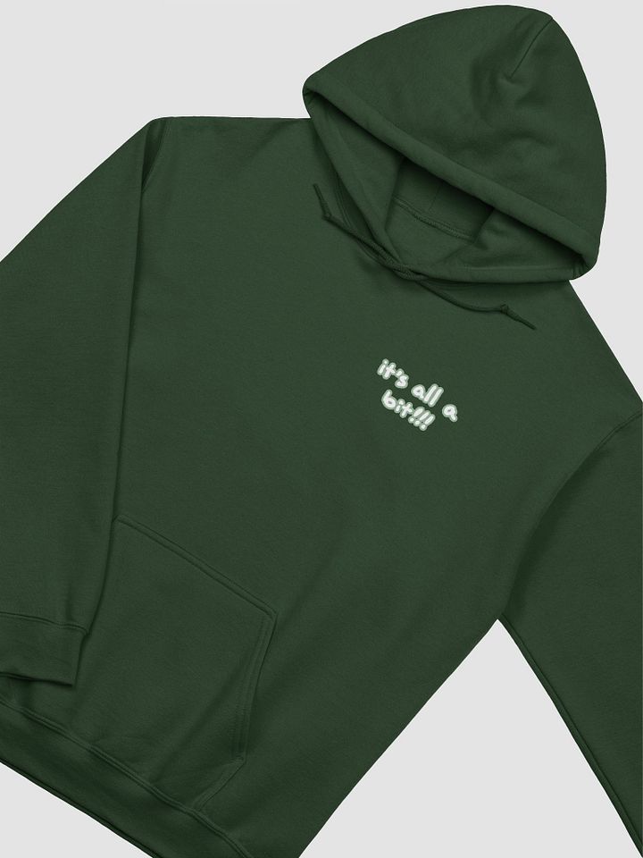 “It’s all a bit!!!” (sm. lined design, #CCE1C4) classic hoodie product image (31)