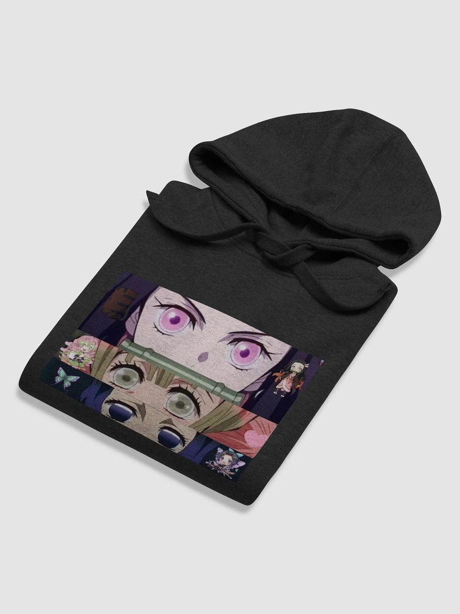 DS product image (5)