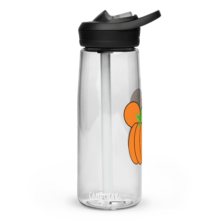 Mickey's Pumpkin Patch Pal Camelback Water Bottle product image (1)