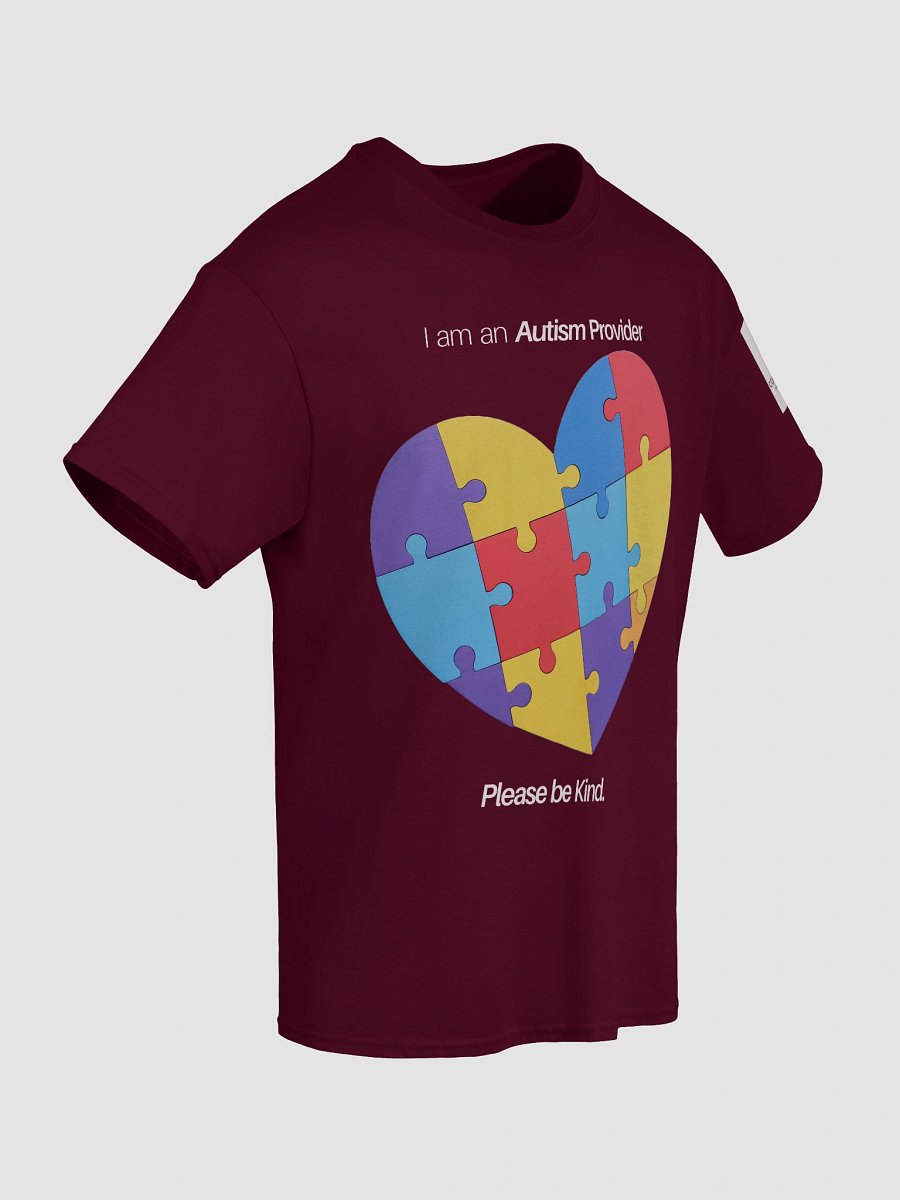 I am an Autism Provider Please Be Kind T-Shirt product image (61)