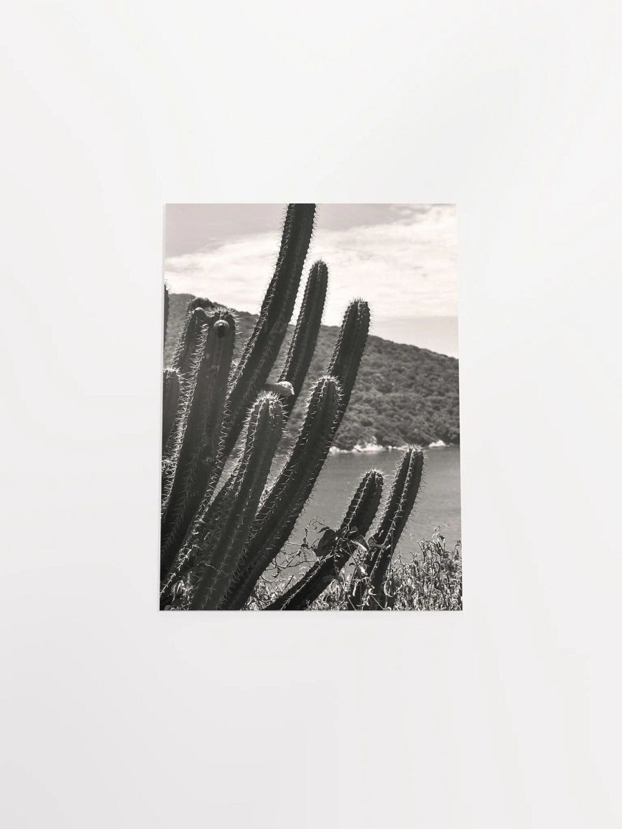 Mexico Lindo - Enhanced Matte Paper Poster product image (5)