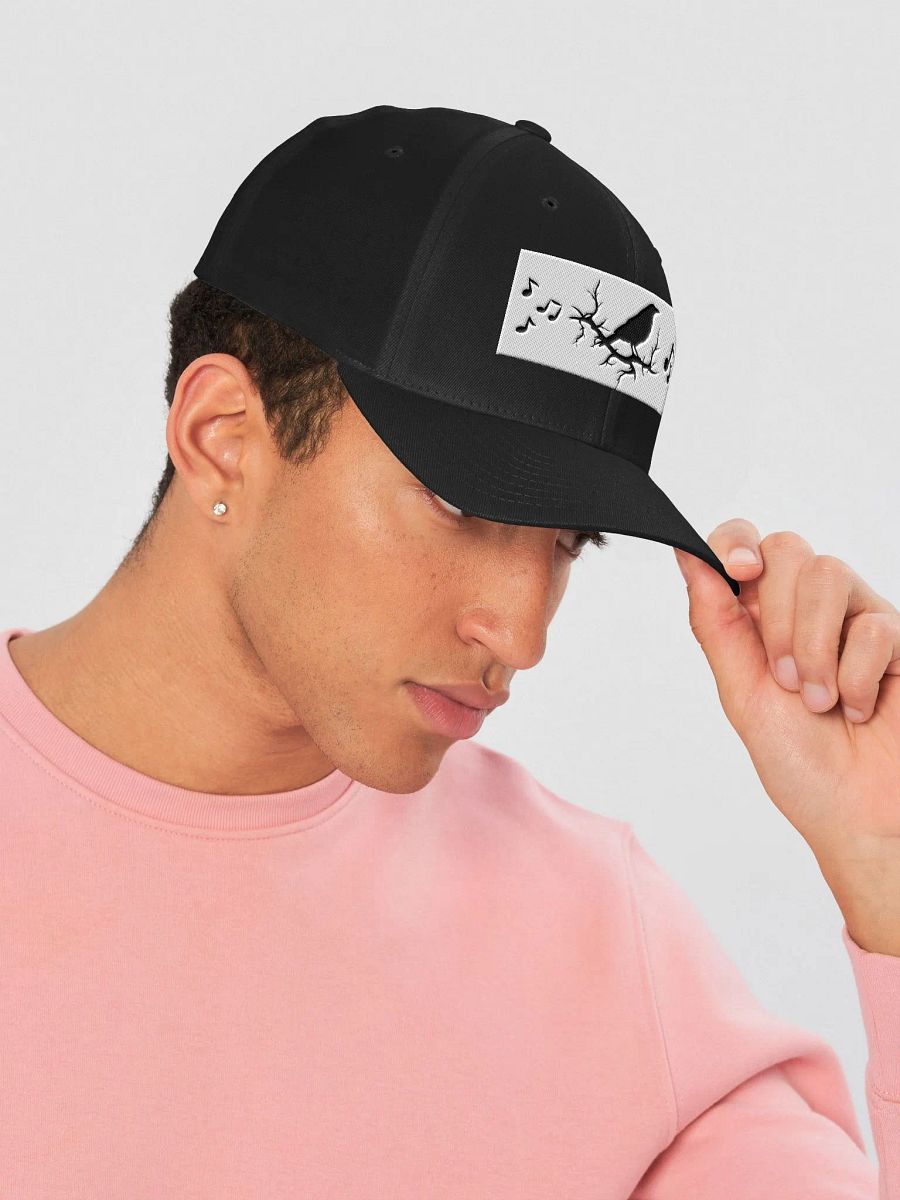 Premium Flexfit Cap with Crow & Notes Embroidery product image (4)