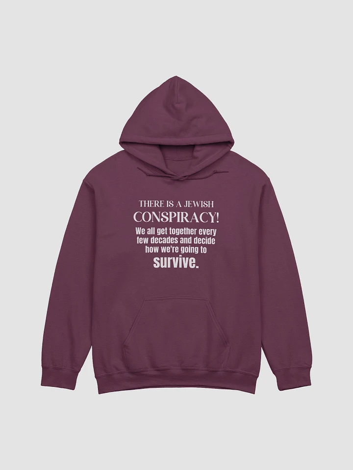 Jewish Conspiracy Hoodie product image (14)