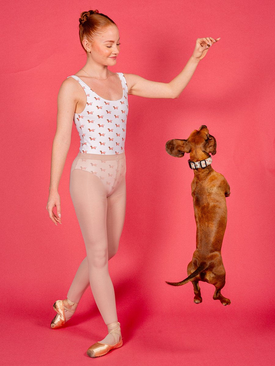 Doxie Leotard product image (2)